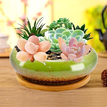 7.4 inch Ceramic Bonsai Pots with Trays Shallow Planters, Succulent Planters with Drainage Hole, Round Large Shallow Pots, Bonsai Pots Garden Decorative Cactus Stand Flower Container (Green)