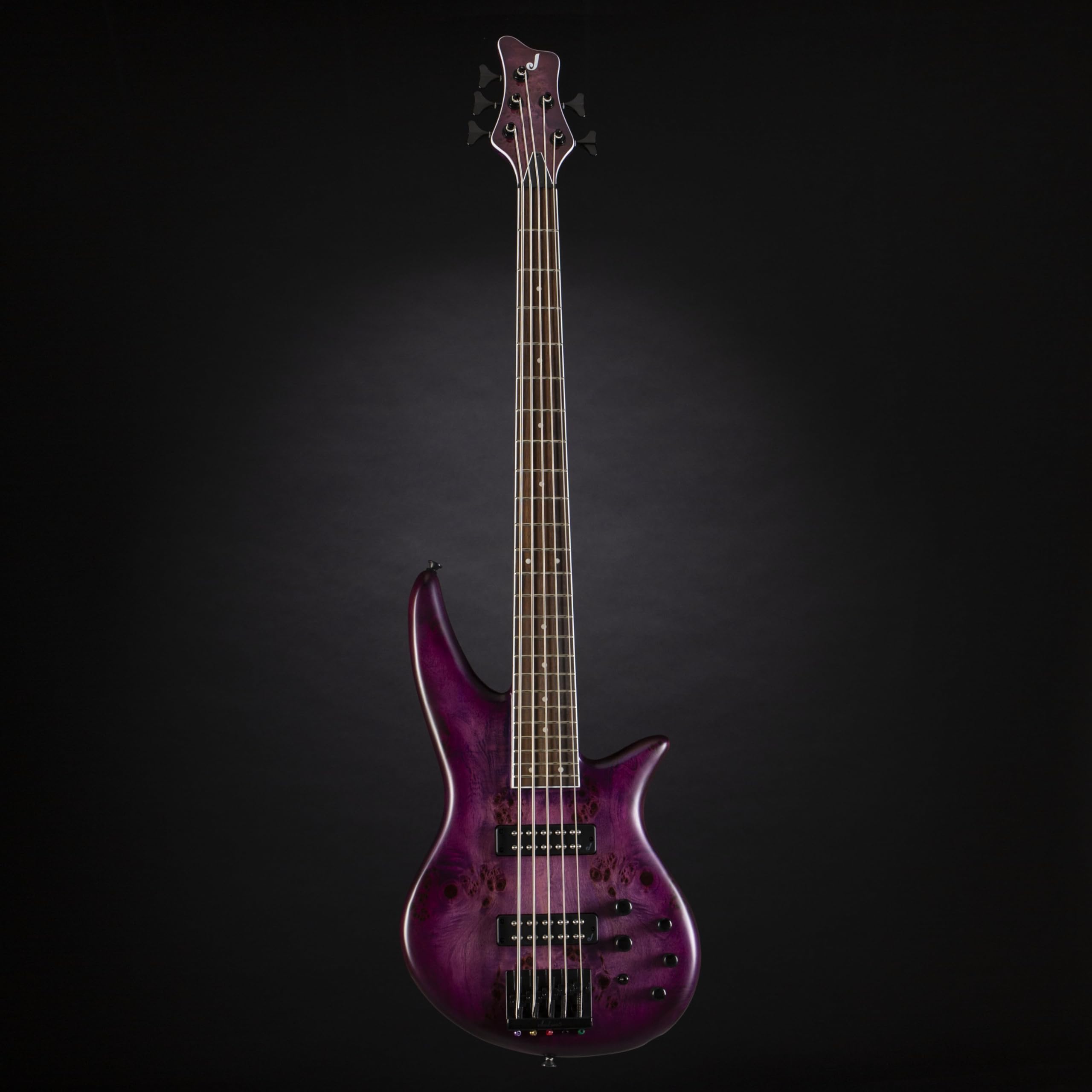 Amazon.com: Jackson X Series 5-String Spectra Bass SBXP V