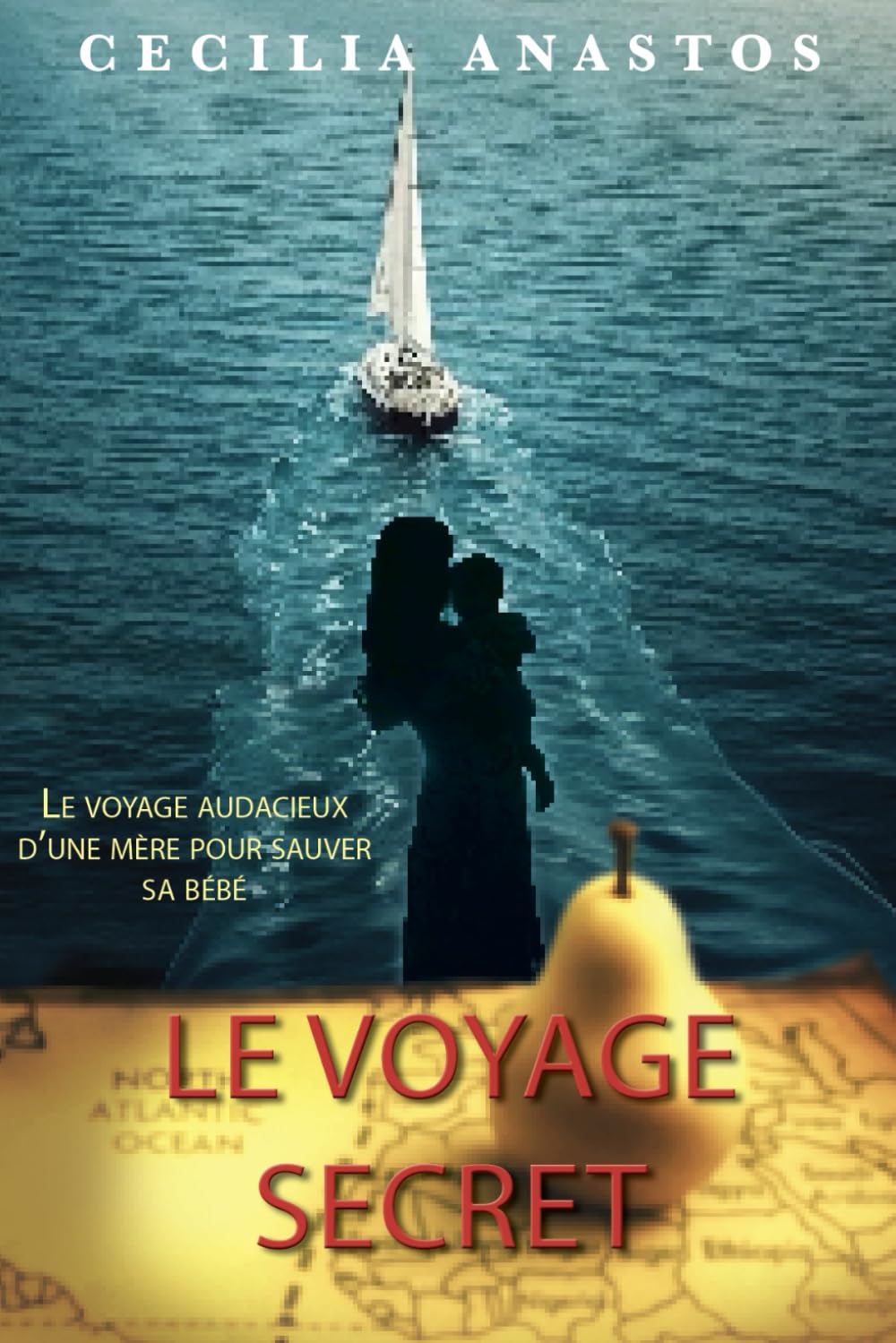 Le voyage secret: Le voyage audacieux d'une mère pour sauver son bébé