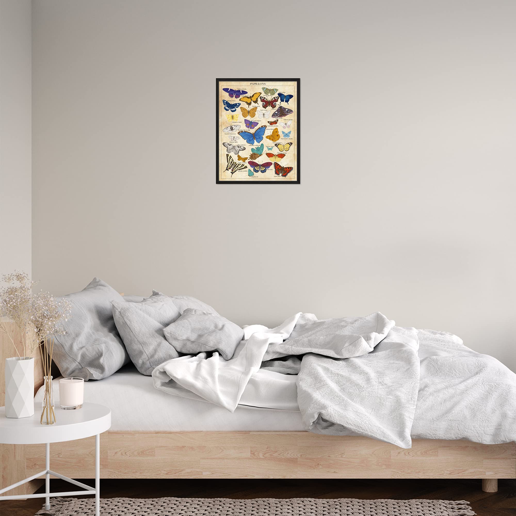 Buy Vintage Butterfly Poster, Butterfly Posters, Butterfly Wall Art