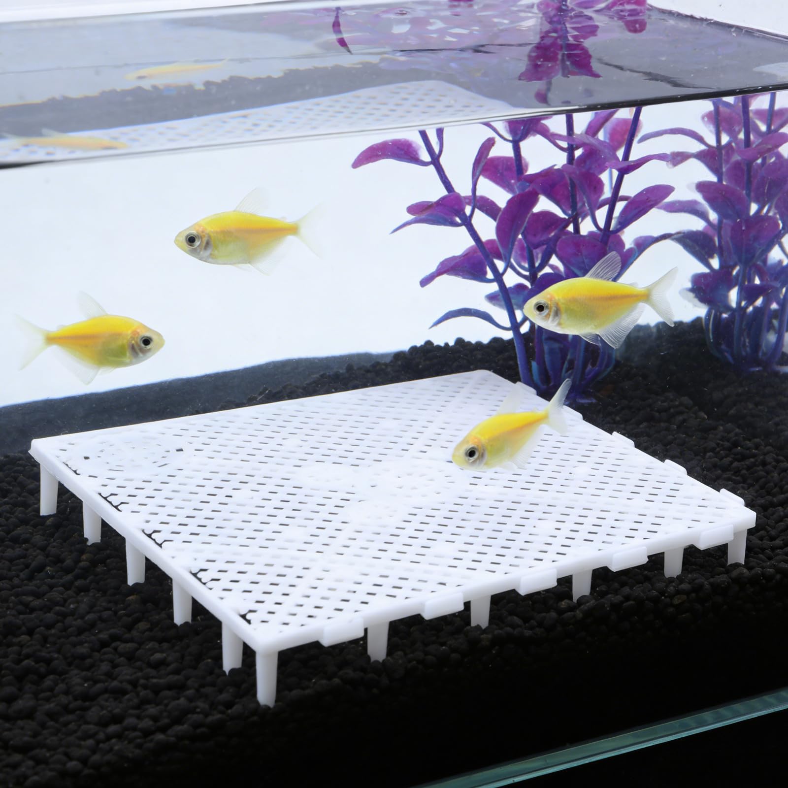 SHINEOFI 20 Piezas Placa de Filtro de Acuario para Fondo, Limpieza Fácil