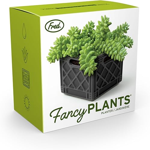 Miniatura 5 de Genuine Fred Fancy Plants - Caja de leche, maceta