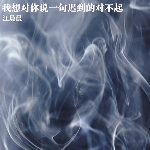 我想对你说一句迟到的对不起