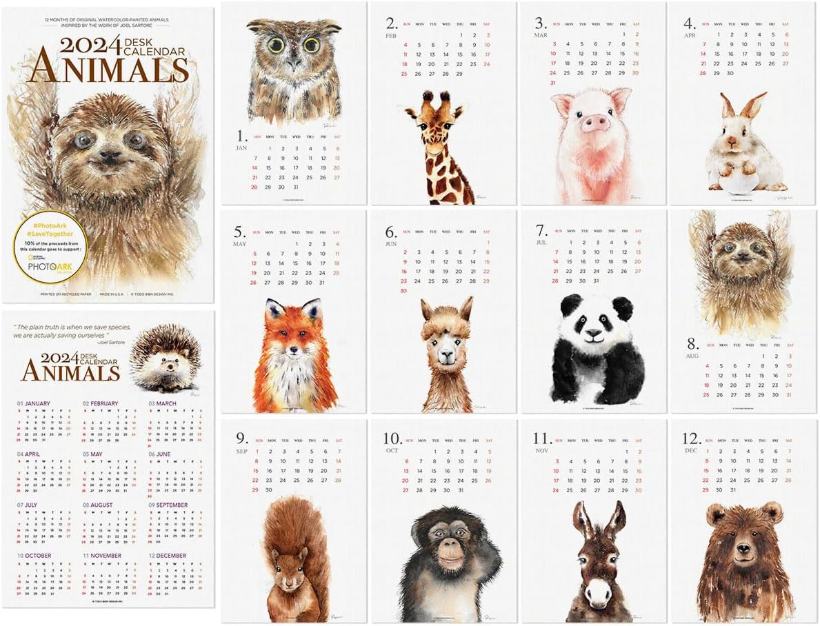 Desk Calendar 2024 Made in USA, Designed by Local Artist