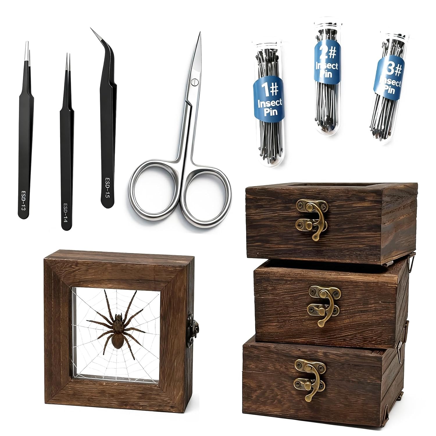 4-Pack Slsmsnx Insect Pinning Kits - Includes 4 Wooden Insect Display Cases, 4 EVA Foam Spreading Boards, 100 Butterfly & Insect Pins in 3 Sizes - Complete Bug Pinning Kit for Beginners