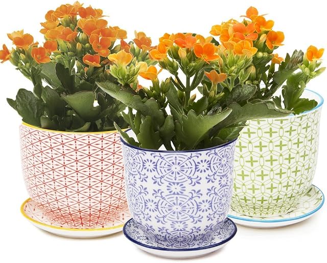 Chive Liberte Ceramic Plant Pots  Cute, Beautiful Pots for Flowers & House Plants Indoor & Outdoor  Set of 3  Crimson, Green & Blue