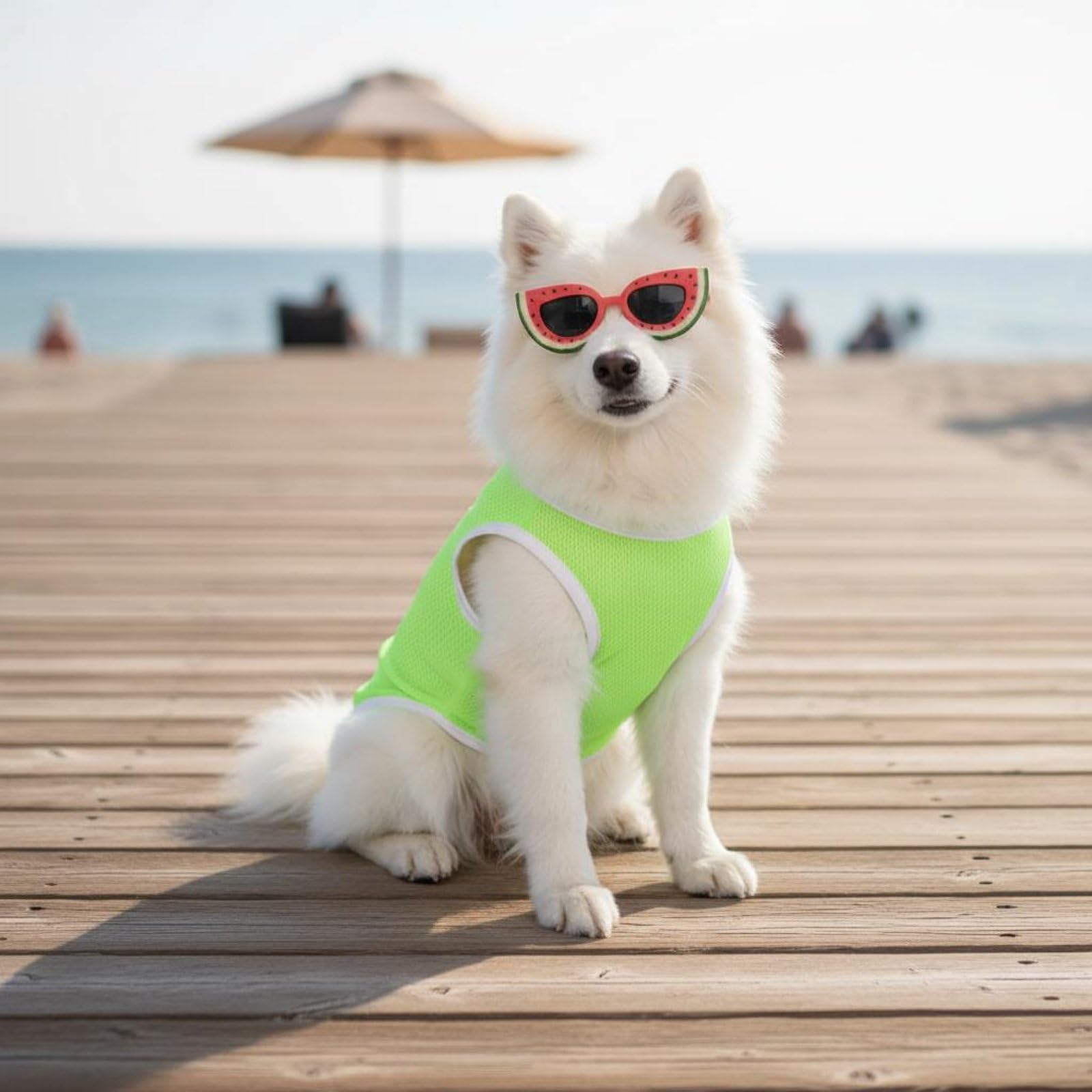 Baoblaze Gilet Industriale Canino Maglietta Cane Canotta Cani Pettorina Leggera in Tessuto a Rete Che Favorisce Ventilazione E Riduce Sporco da Esterno Adatto, Array, Verde Fluorescente, XL