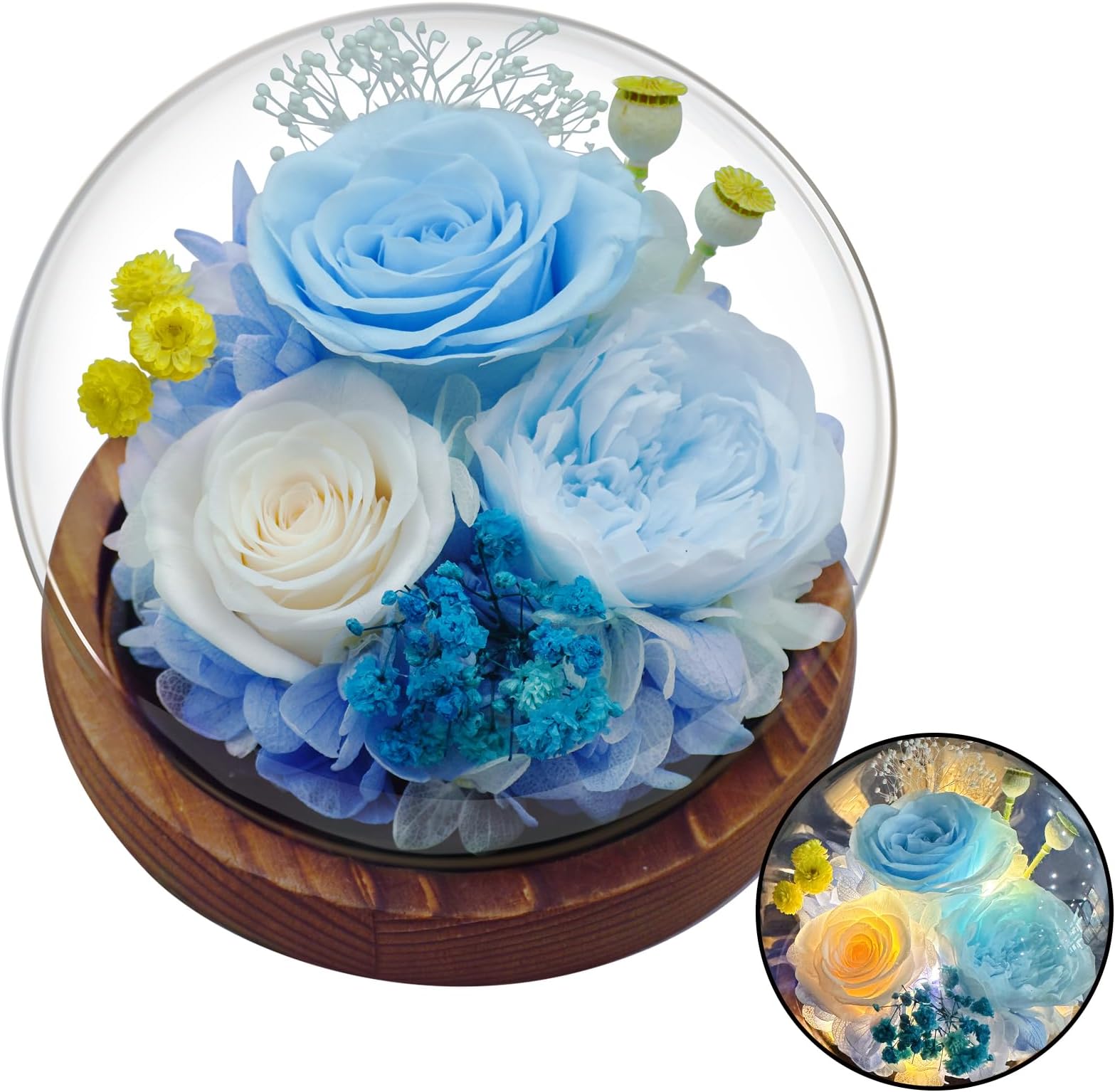 Mother’s Day Rose Flowers Birthday Gifts for Women, Preserved Real Flowers Bouquet Glass Dome Light Up Glass Rose Gifts for Mom Girlfriend Wife Valentine's Anniversary, Arrangement Home Gifts for Her