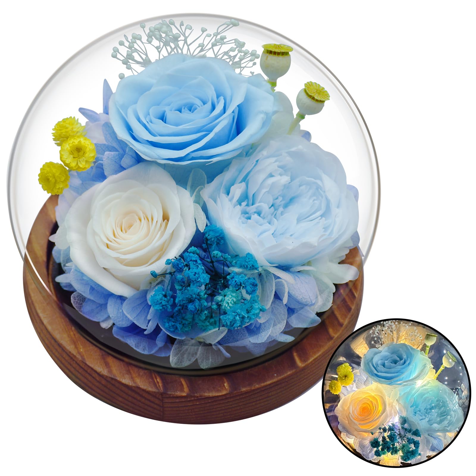 Mother’s Day Rose Flowers Birthday Gifts for Women, Preserved Real Flowers Bouquet Glass Dome Light Up Glass Rose Gifts for Mom Girlfriend Wife Valentine's Anniversary, Arrangement Home Gifts for Her
