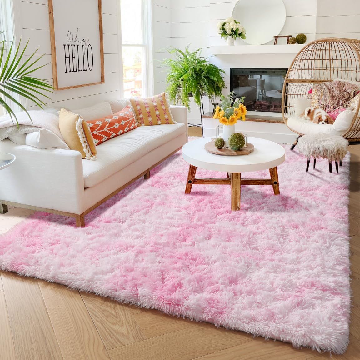 Amazon.com: Amdrebio Pink Area Rugs for Girls Bedroom,Plush Kawaii Rug ...