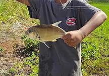 Review Image by Kono Kono