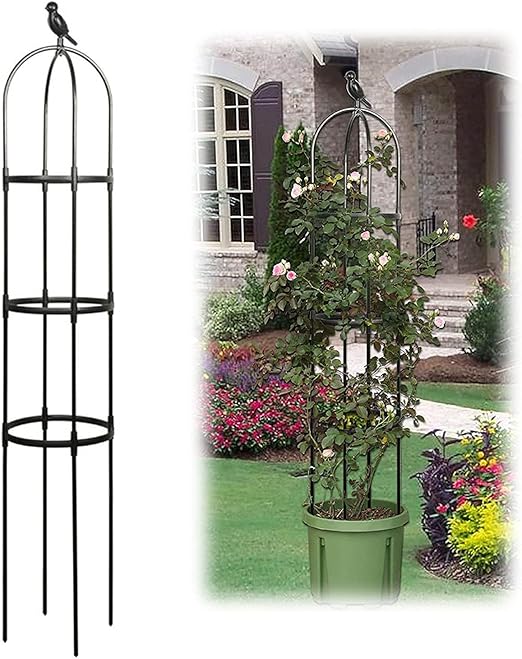 Amazon Co Jp ローズオベリスク 園芸支柱 植物支柱 1pcs 花ささえ メタルオベリスク植物トレリス 耐候性 支柱 金属製 簡易組立式 植物サポート フラワースタンド 鳥飾りヘッド 繰り返す利用 園芸植物登山トレリス ばら 薔薇 園芸 庭 盆栽オベリスク ガーデニング Color