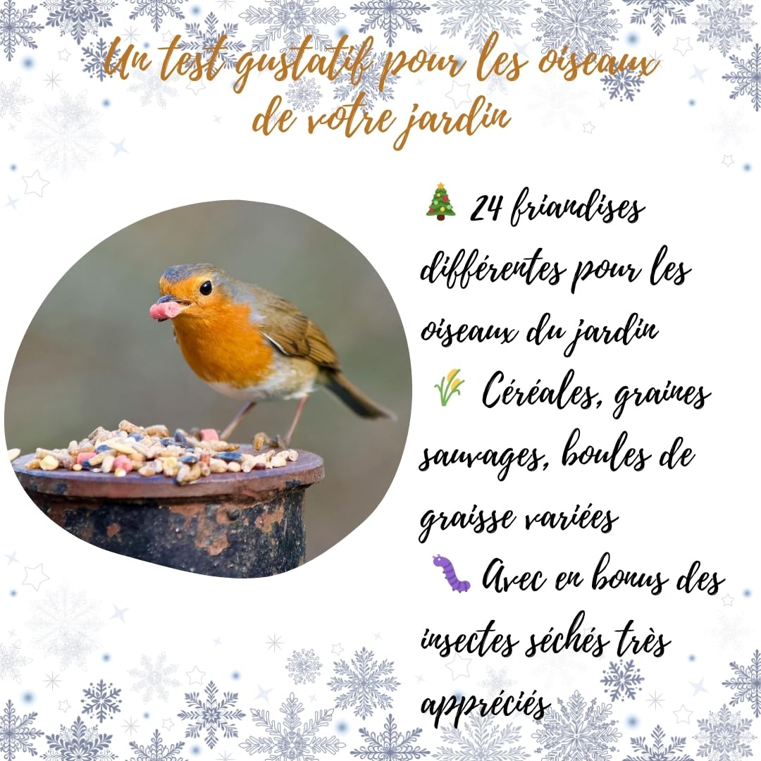 Calendrier de l’Avent pour Oiseaux du Jardin ANI’Nat – 24 friandises Naturelles sans Filet – Graines, céréales, Insectes, Boules de Graisse – Nourriture hivernale avec mangeoire