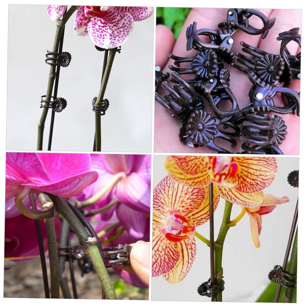 Toddmomy 2 Sätze Teiliges Set Pflanzenfixierungsclips Und Eisenstützen Für Kletterpflanzen Wetterfeste Und Rostfreie Halterungen Für Garten Für Orchideen Und Rankpflanzen 20 Stück * 2