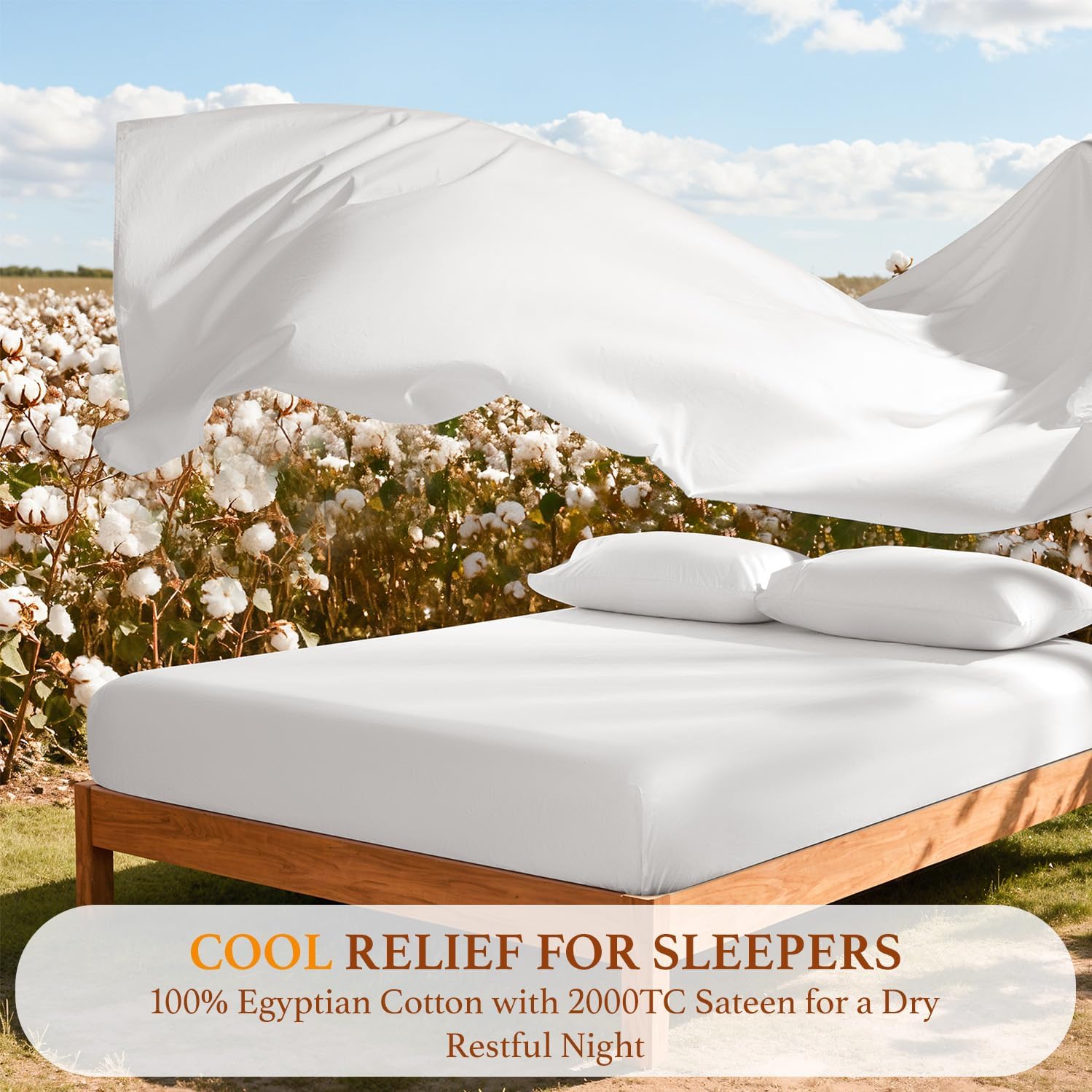 100% Egyptian Cotton Sheets Set, Luxury 2000 Thread Count Egyptian Cotton Bed Sheets 4 PC, Silky Soft,Breathable & Cooling Sheets, 16" Deep Pocket(Queen, White)