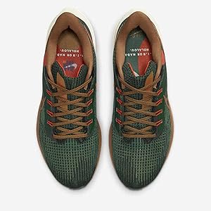 【新品未使用】ナイキ ペガサス 39 AIR HOLA LOU 27.5㎝ NIKE AIR ZOOM PEGASUS 39 A.I.R. HOLA LOU GORGE GREEN ALE