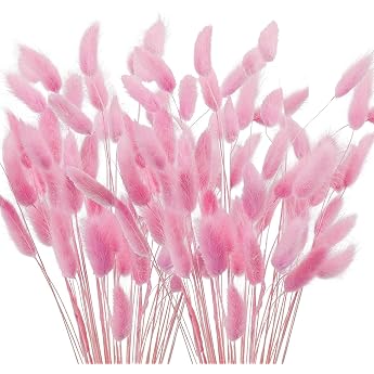 Pack of 120 Dried Flowers Small Pampas Grass 40 cm Pink Rabbit Tail Grass