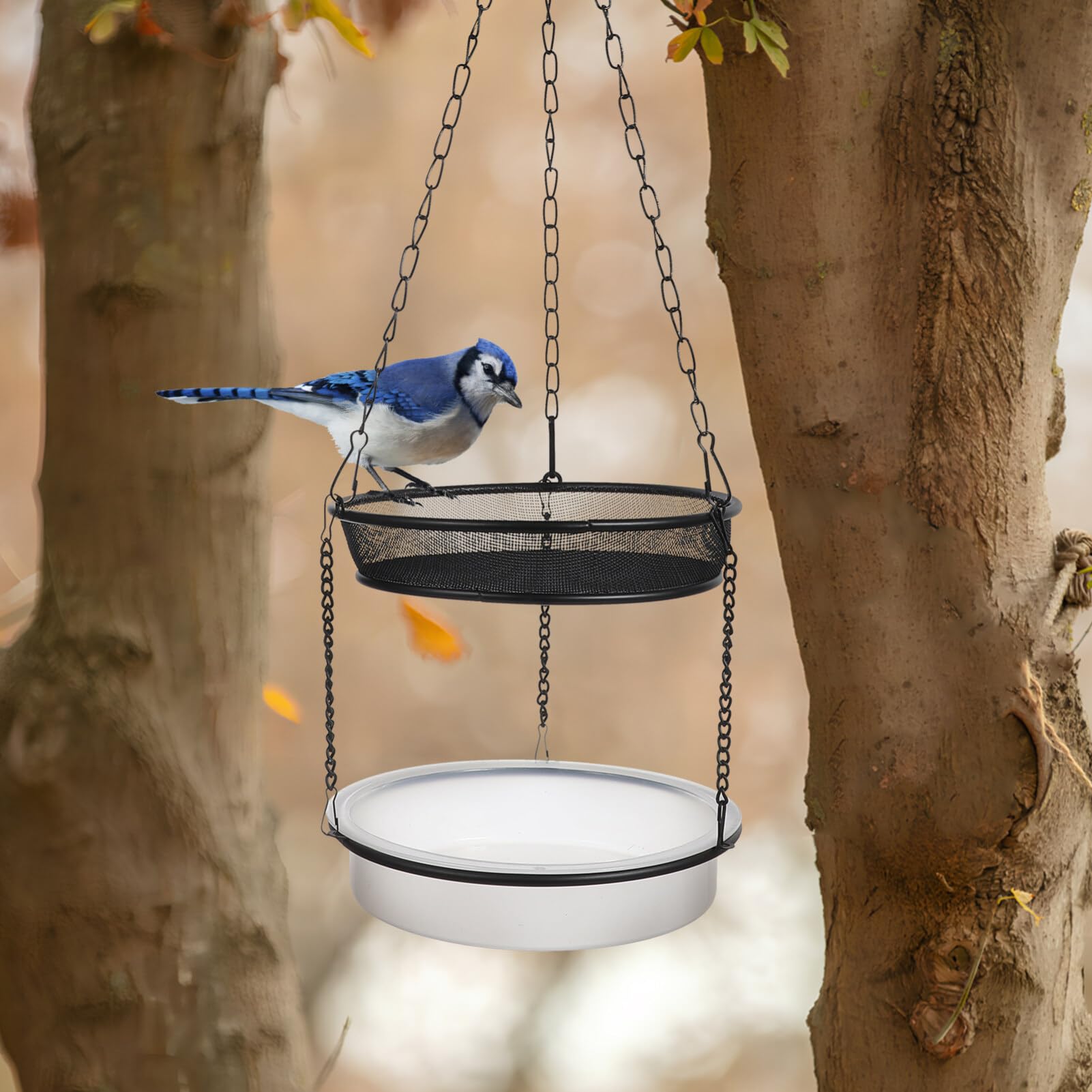 ULTECHNOVO 5pièces Mangeoire à Oiseaux Suspendue avec Double Plateau pour Nourrir Et Abreuver Les Oiseaux Accessoire Décoratif pour Jardin Et Balcon Facile à Installer