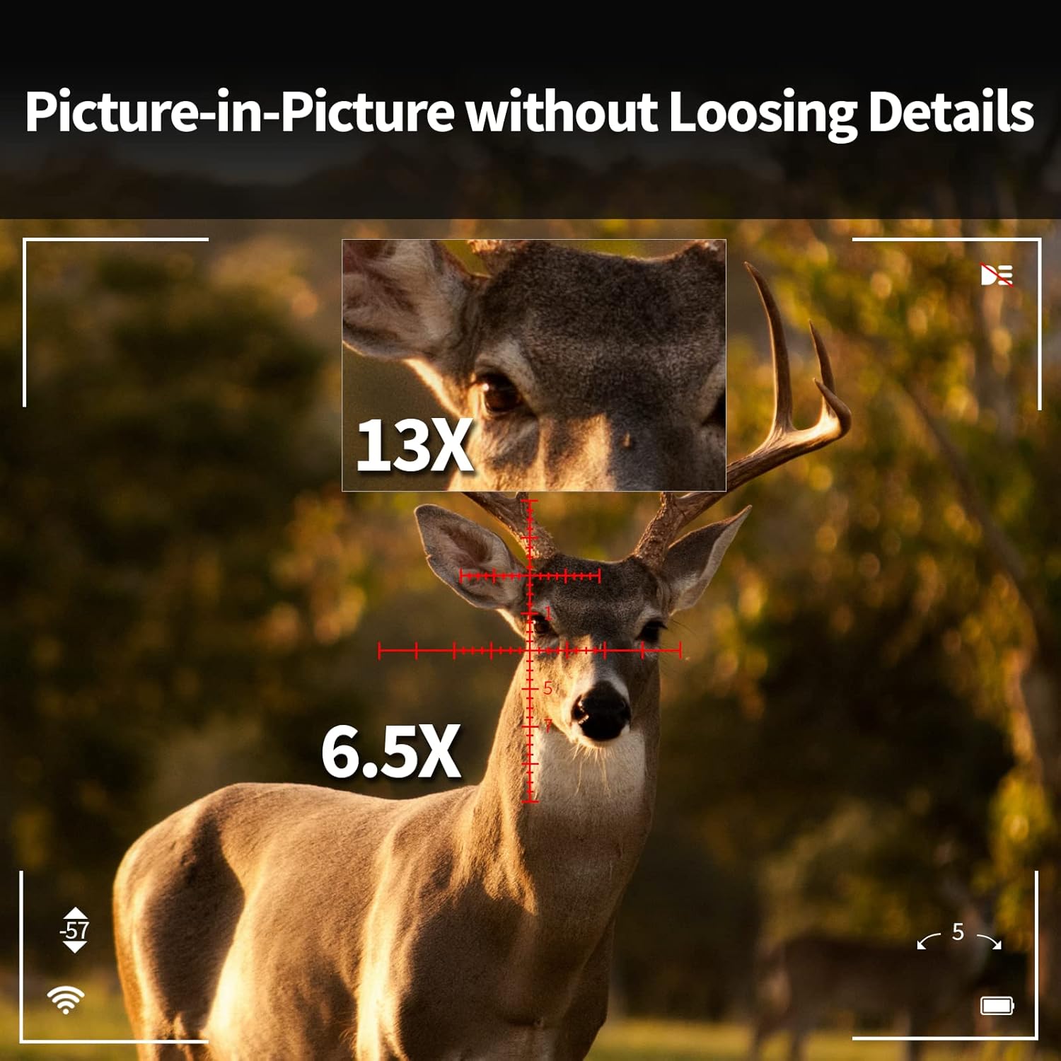 Picture-in-Picture zoom showing 6.5x and 13x magnification