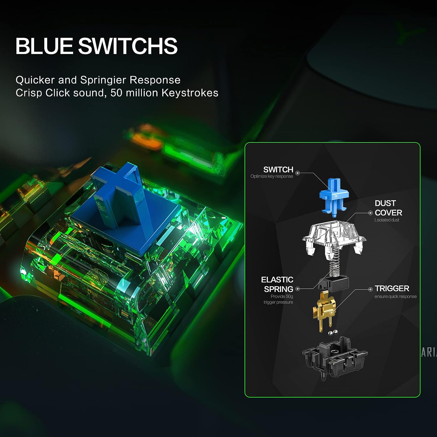 Diagram illustrating the internal components of a blue mechanical switch.