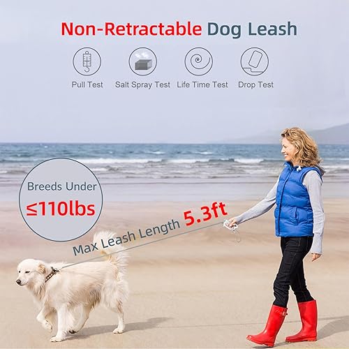 Miniatura 2 de Correa de perro no retráctil para perros con soporte integrado para bolsa de excrementos, diseño ligero, sin enredos, mango antideslizante y nailon