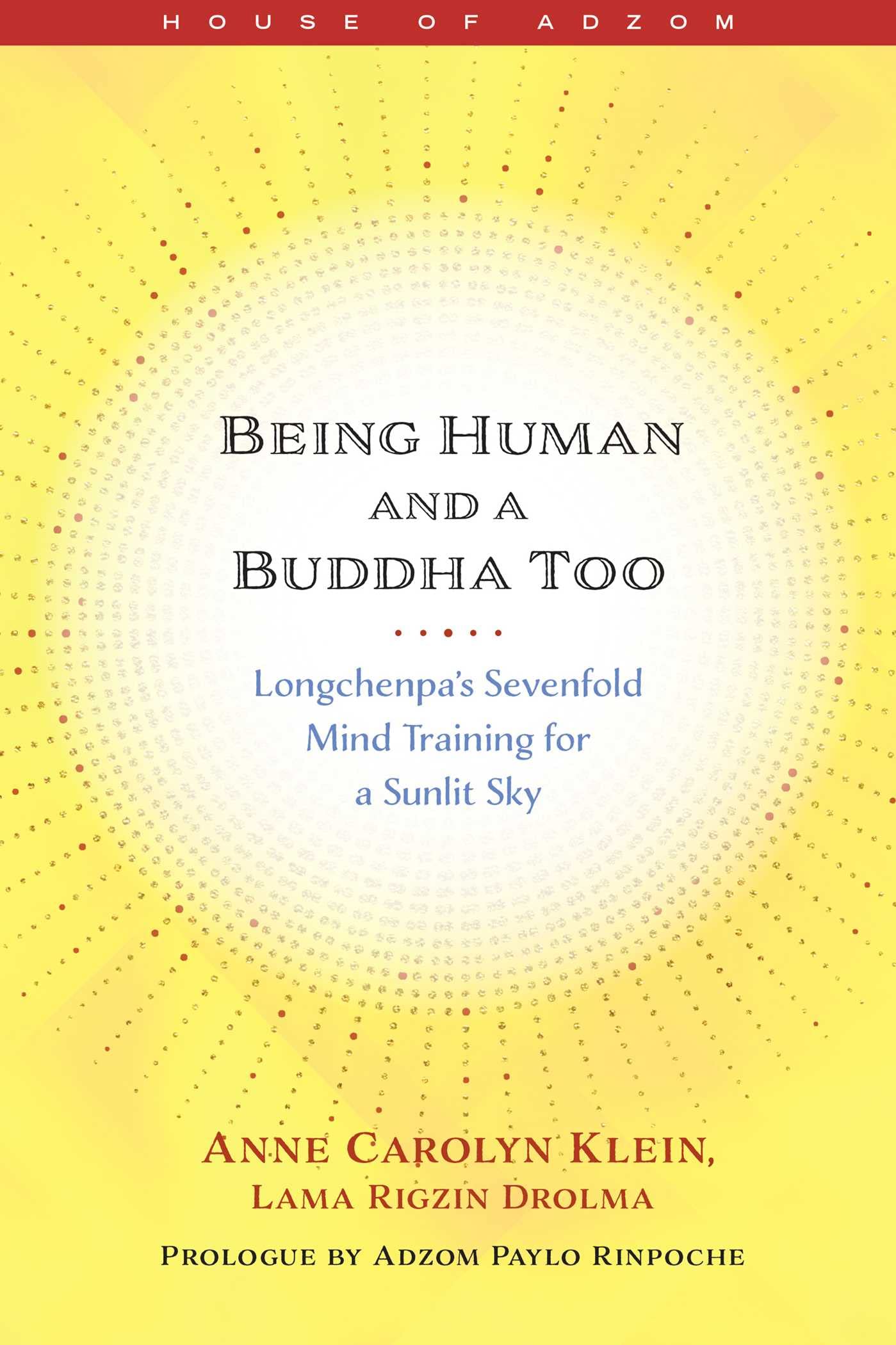 Anne KleinBeing Human and a Buddha Too: Longchenpa's Seven Trainings for a Sunlit Sky