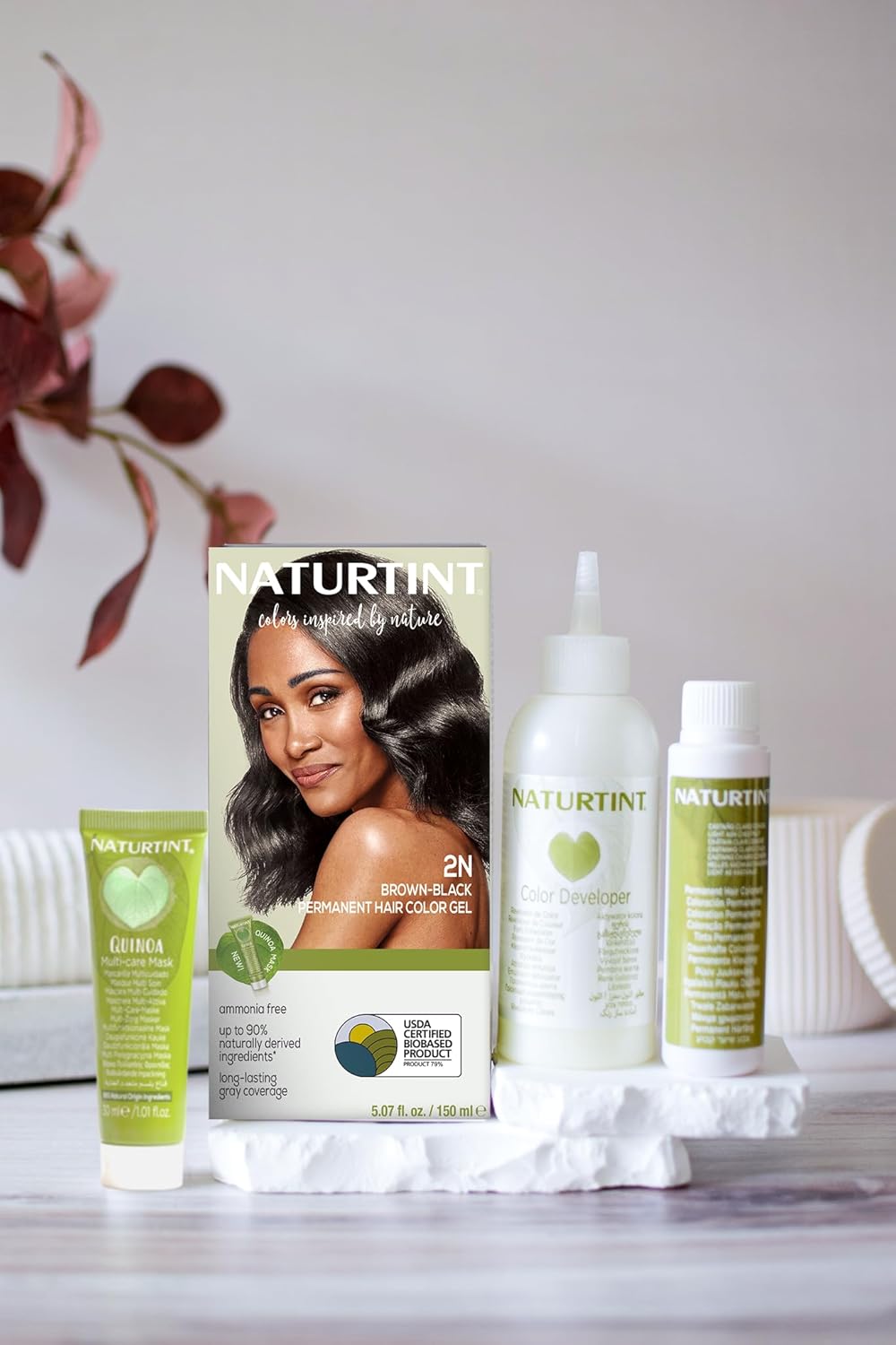 Naturtint 2N Brown Black Permanent Hair Color (Pack of 6), Ammonia Free, Vegan, Cruelty Free, up to 100% Gray Coverage, Long Lasting Results (Packaging may vary)