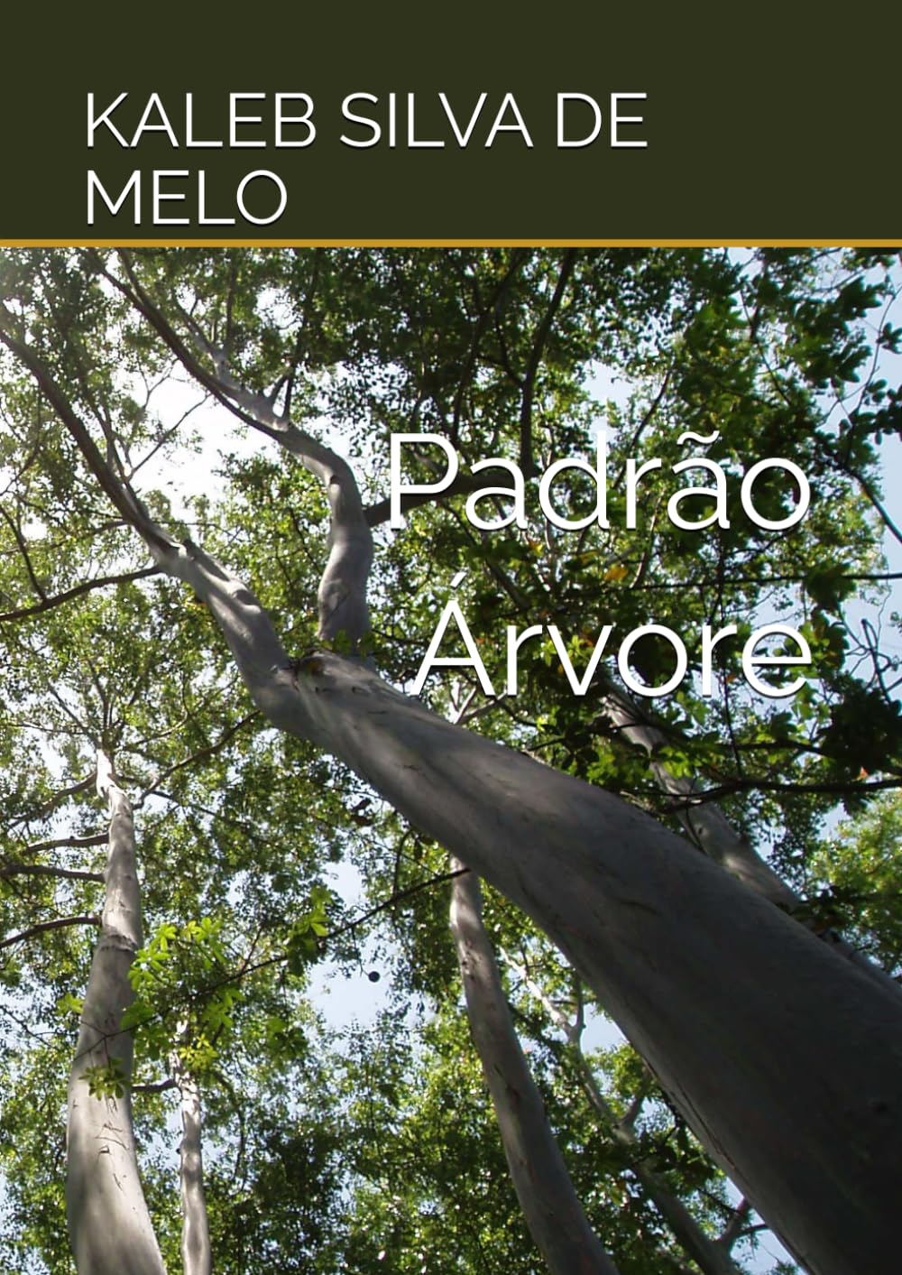 Padrão Árvore