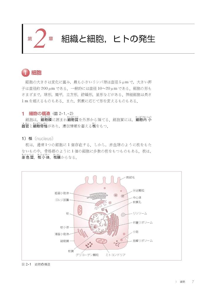 最新臨床検査学講座　12冊 最新臨床検査学講座医動物学 | 平山 謙二 |本 | 通販 | Amazon