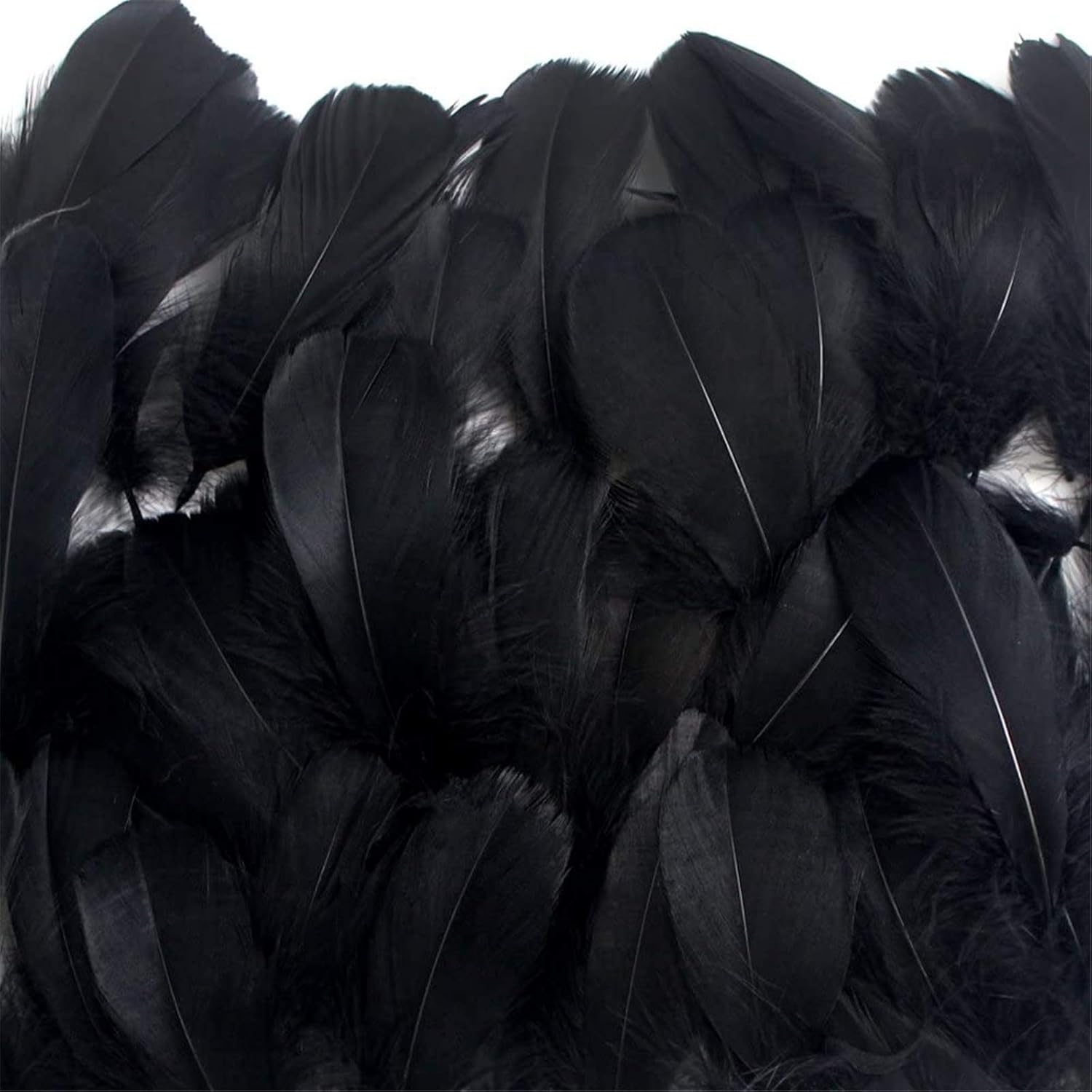 Coceca 300pcs Black Feathers for Various Birthday Party Wedding Festival Party Decorations