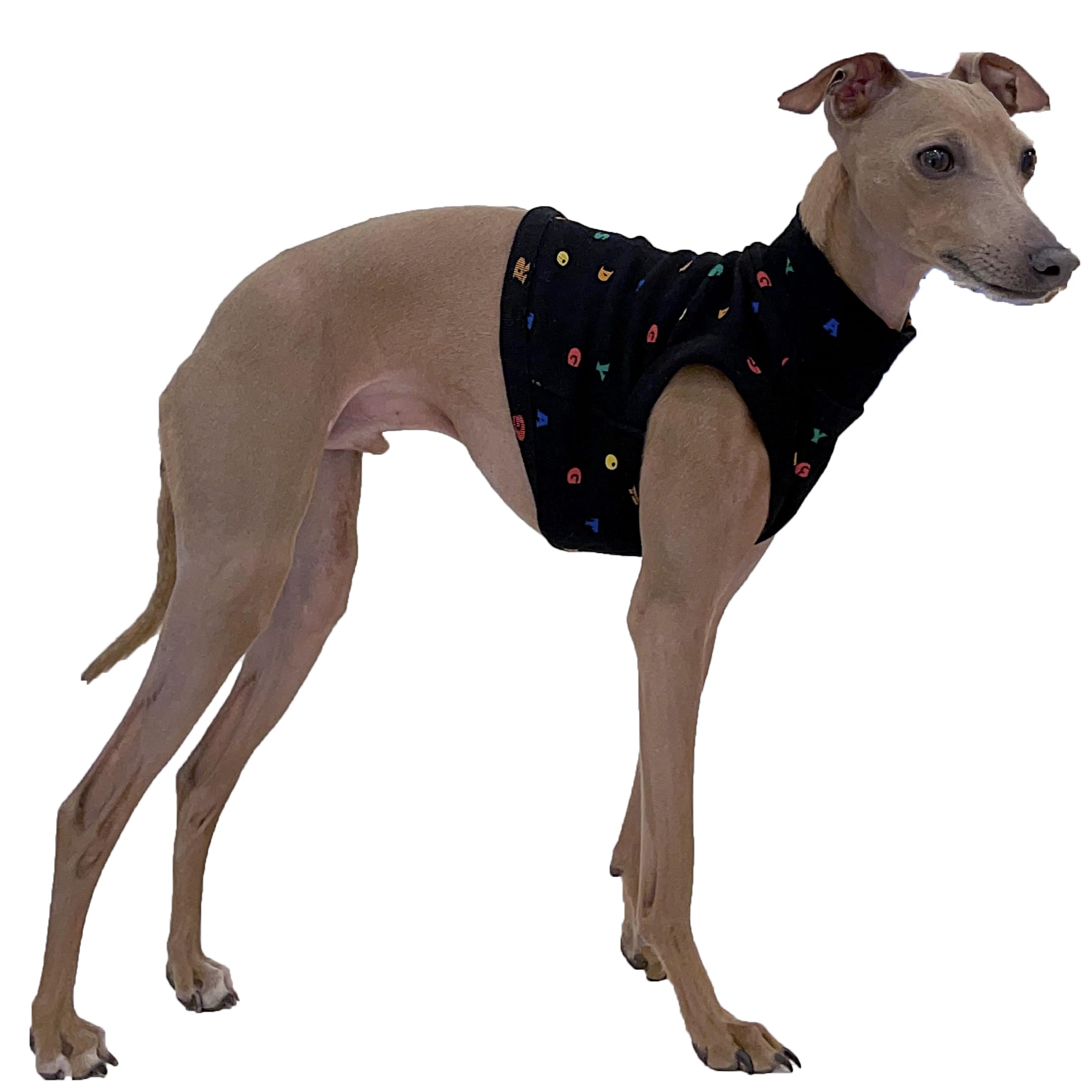 D Doggy Star Italian Greyhound Clothes Crop Top Stretchy T Shirts Whippet for Dogs (XL,Alpbt Croptop Blk) — image 1