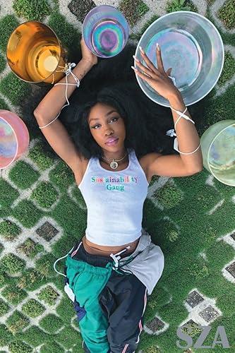 BUY ART FOR LESS Officially Licensed SZA/Laying Art Poster -