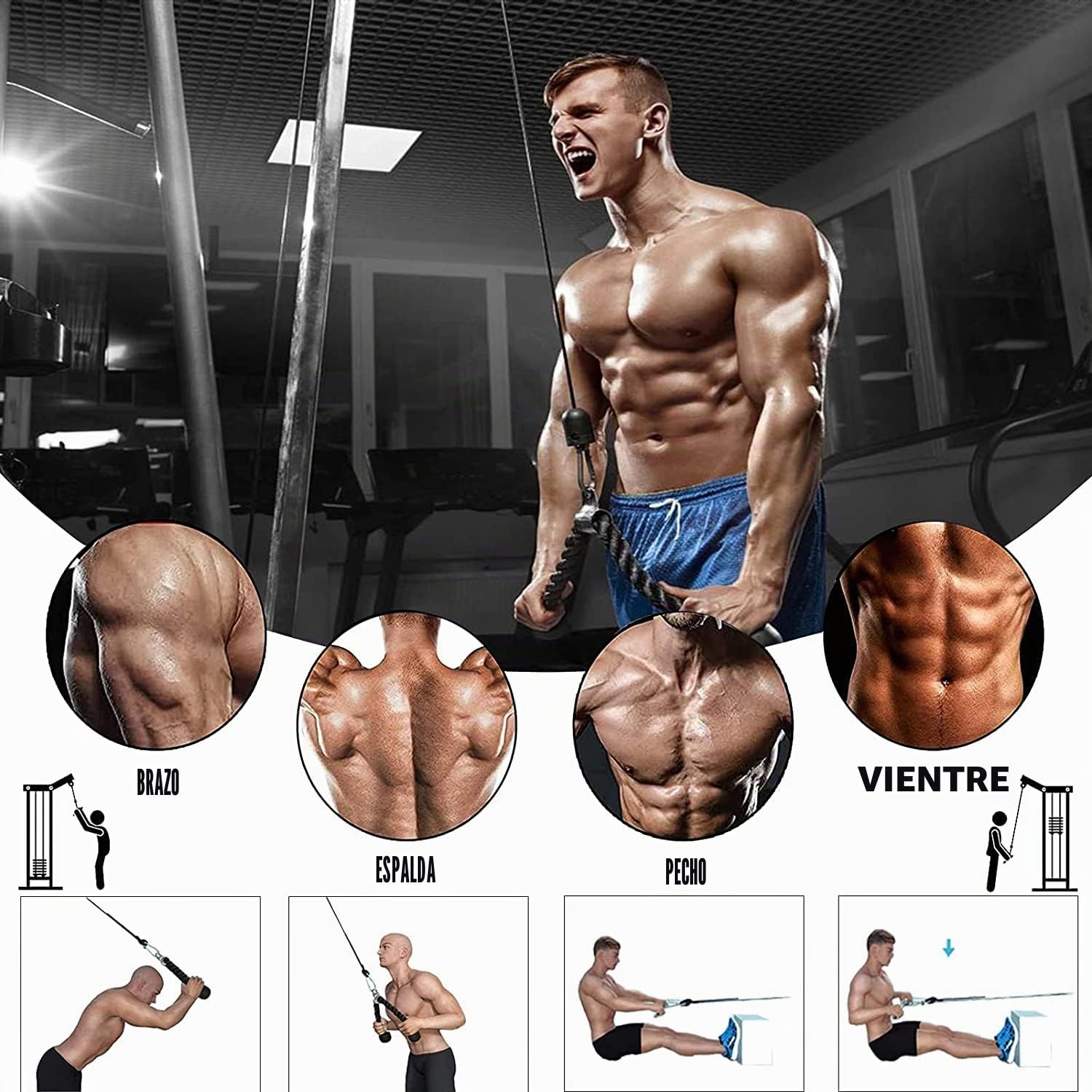Sistema de Cable de polea Profesional para Fuerza Muscular, Equipo de fijación de Fitness, antebrazo y muñeca, Rodillo de Entrenamiento para Flexiones LAT, bíceps, rizos, Extensiones de tríceps