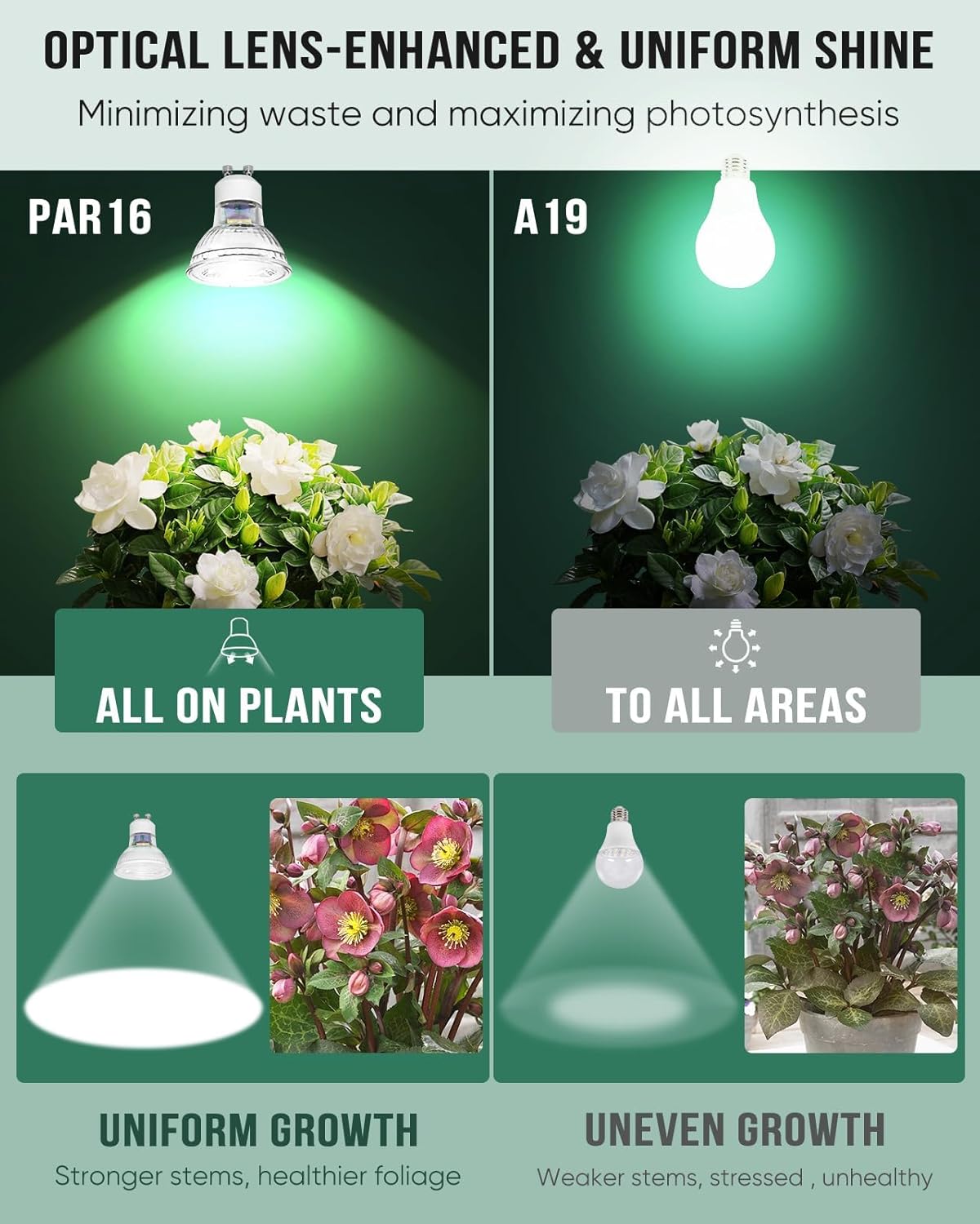 DOMMIA Grow Light, GU10 Full Spectrum Grow Light Bulb, 5W 110V PAR16 LED Plant Light Bulb for Indoor Plants, Neutral White 4000K, 3-Count