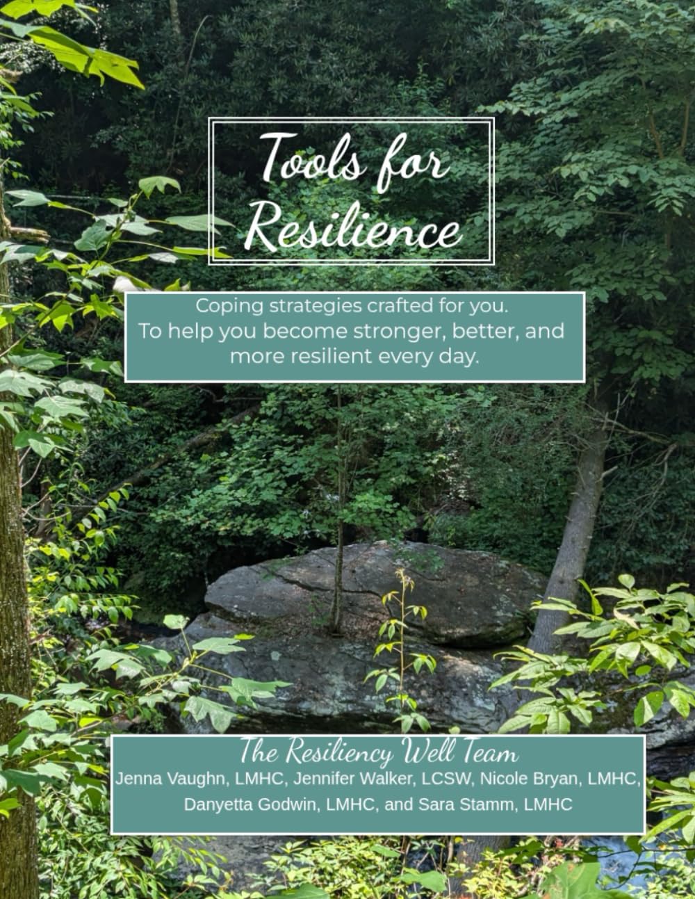 Tools for Resilience: Coping Strategies Crafted for You.
