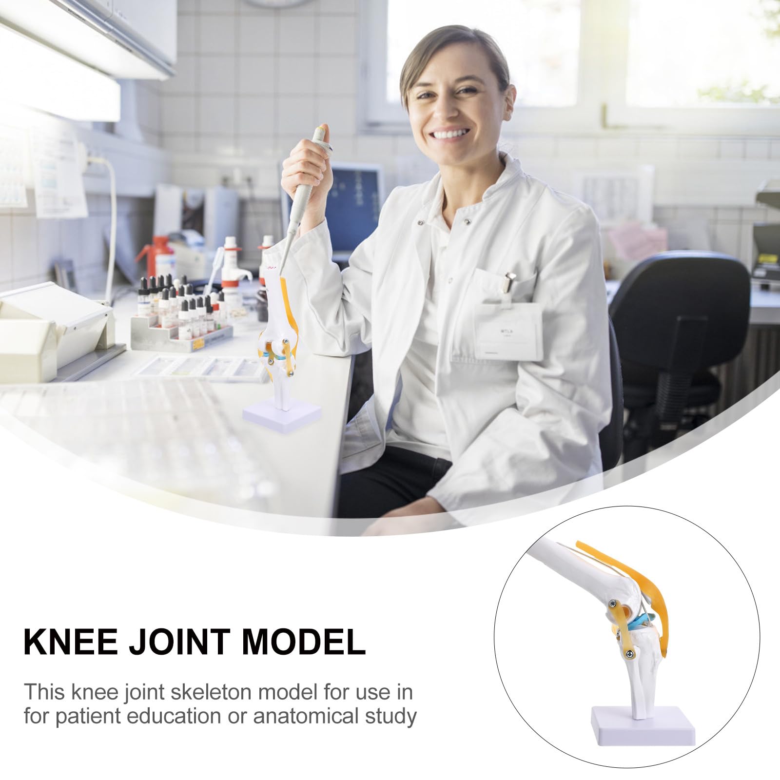Generico Modello Anatomico Ginocchio Grandezza Naturale 1:1 in Pvc Movimento Realistico e Dimostrazione Flessione per Studio Anatomico e Forniture da Laboratorio