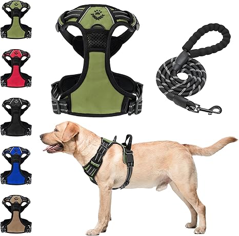 training a large dog not to pull