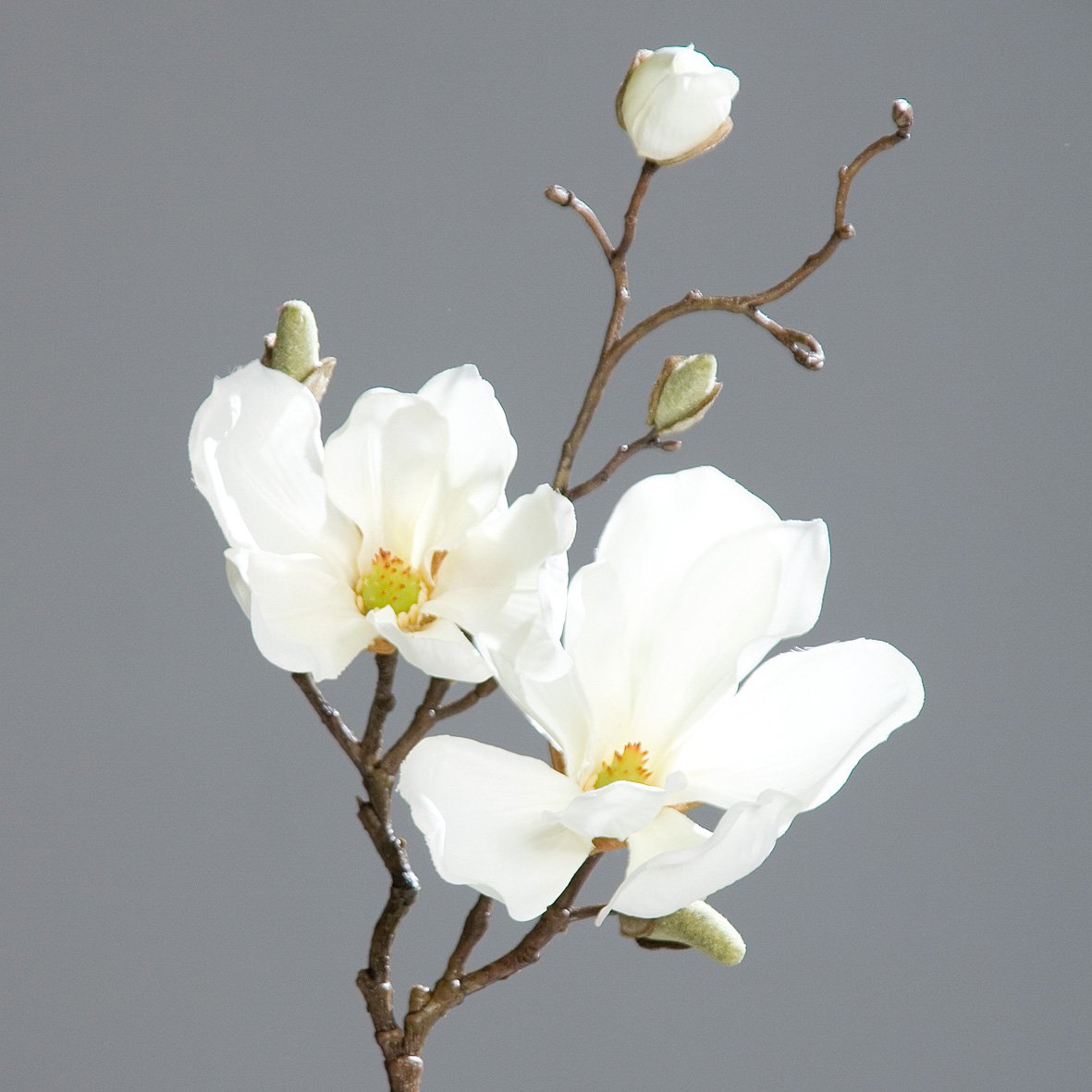 Ramo di magnolia artificiale MALBINE, bianco-rosa, 50cm, 6-10cm - Fiori artificiali