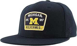 Michigan Wolverines NCAA Officially Licensed Hat Flat Snapback Z11 Switchback Team Color
