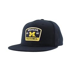 Michigan Wolverines NCAA Officially Licensed Hat Flat Snapback Z11 Switchback Team Color