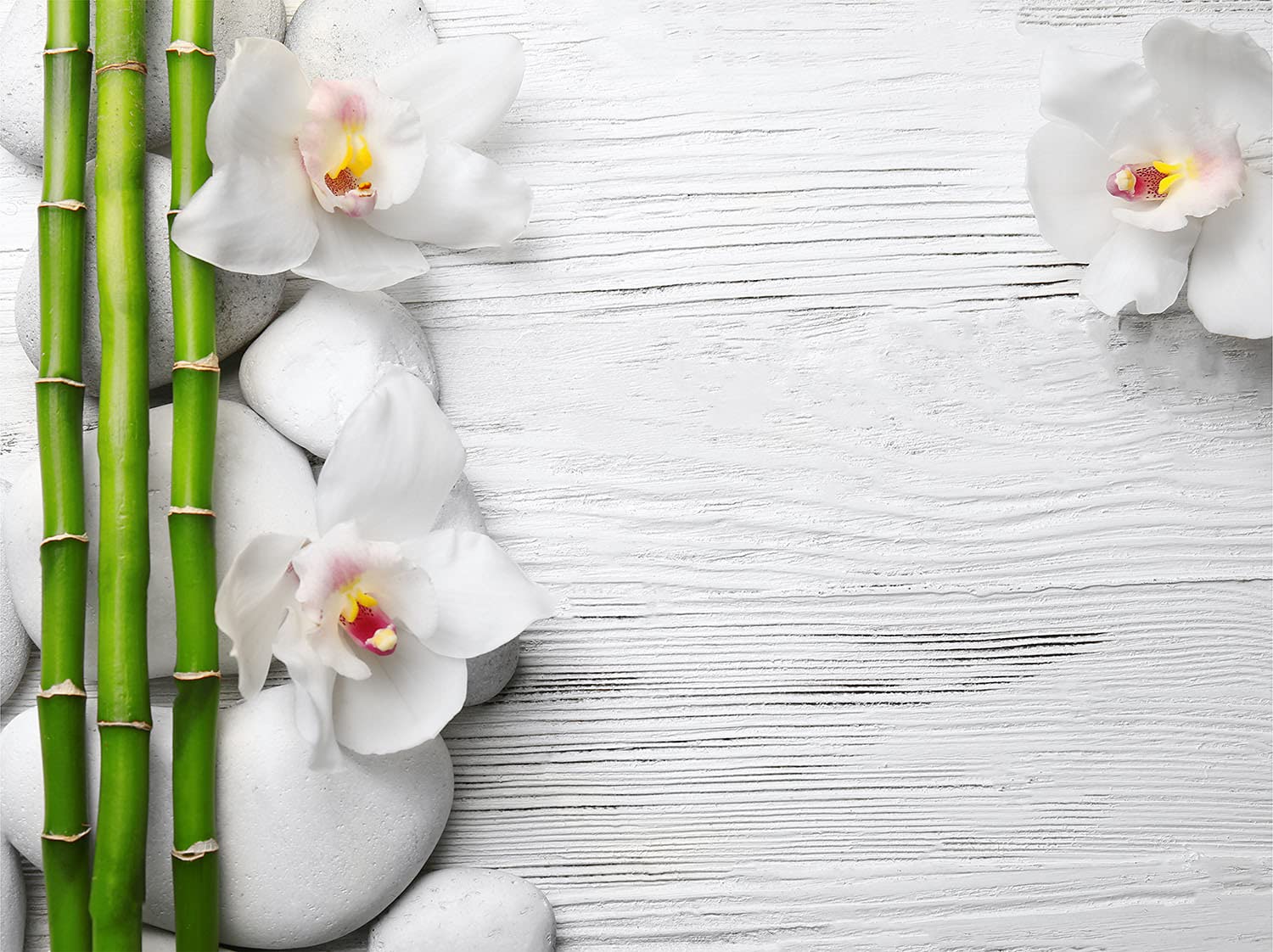 Amazon.de: TMK ArtDeko Heizkrperverkleidung Magnetisch Wohnliches Ambiente  Einfache Befestigung 80x60 Magnet Heizkrperabdeckung, Bambus Blume