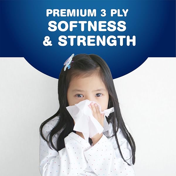 Scotties Supreme 3 Ply Soft & Strong Facial Tissue, Hypoallergenic and Dermatologist Tested, 6 Boxes, 81 Tissues per Box - 4
