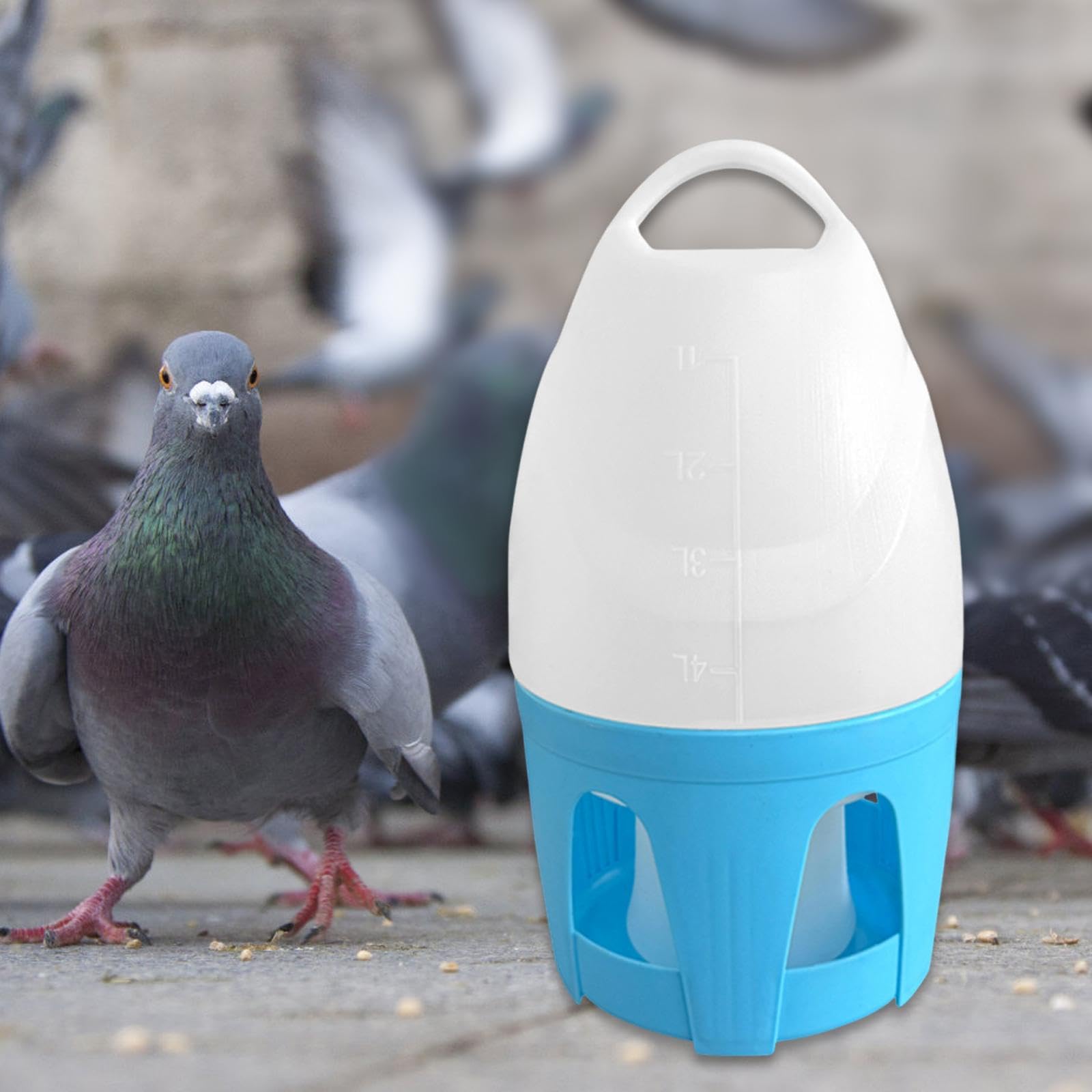 F Fityle Abreuvoir Automatique à Oiseaux Distributeur Portable avec Poignée Récipient Grande Capacité Matériau Solide Convient pour Cages Oiseaux Maison, 6 L