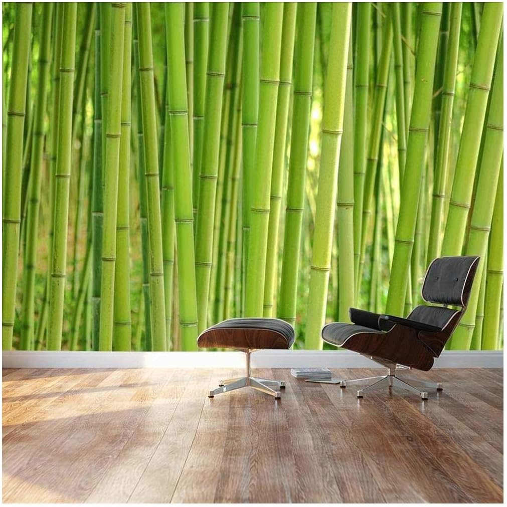 wall26 SelfAdhesive Wallpaper Large Wall Mural Series (100"x144