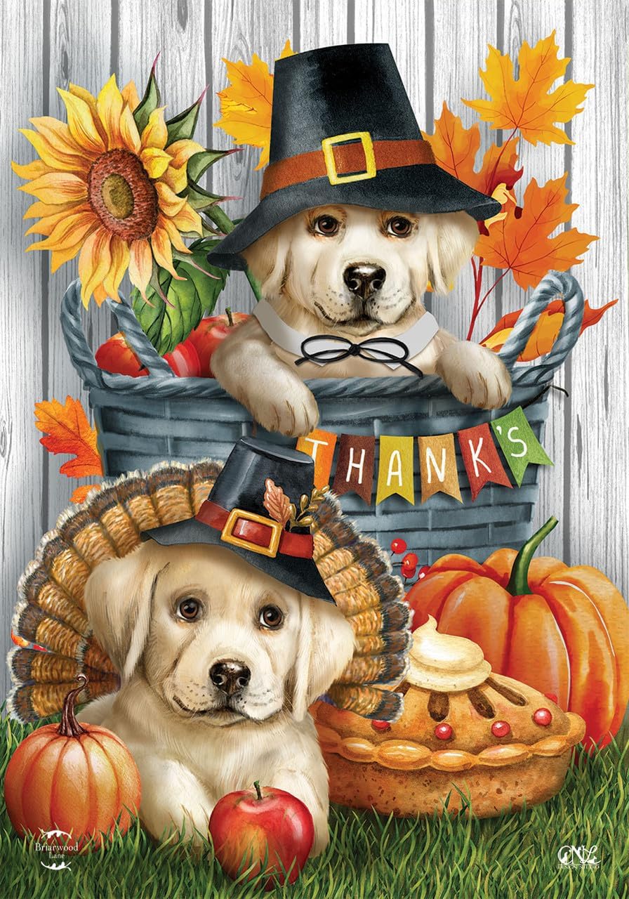 Pilgrim Gnome Thanksgiving Burlap House Flag Humor 28" x 40" Briarwood Lane