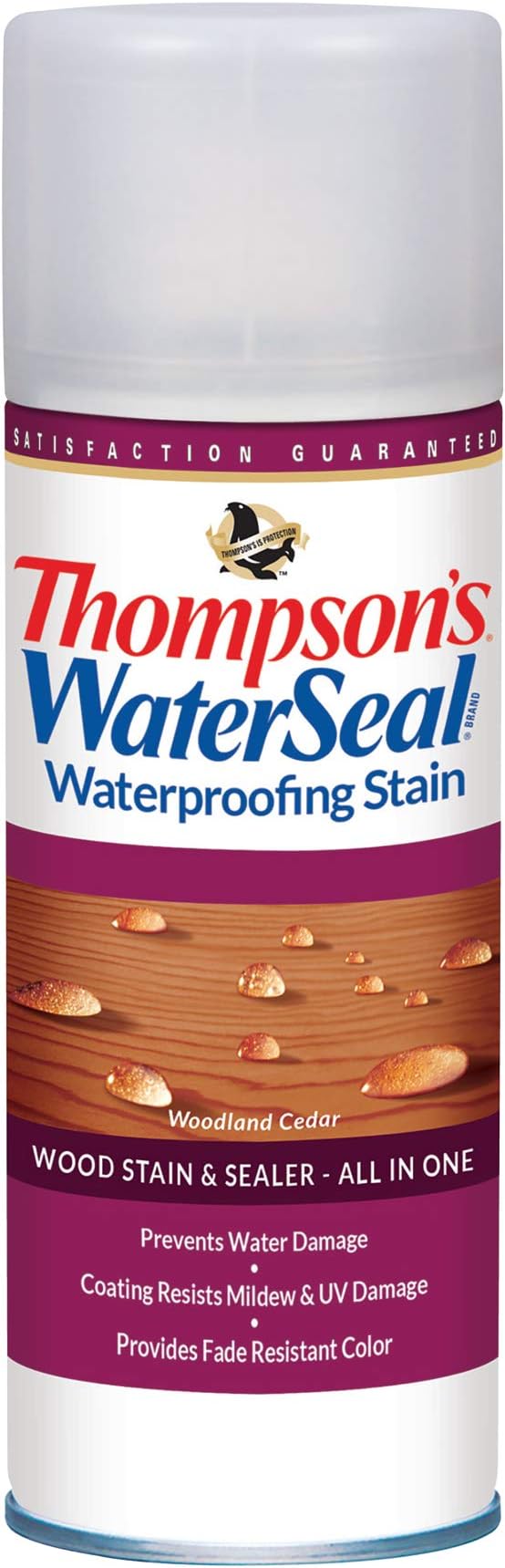 Thompsons Waterseal Waterproofing wood Stain and sealer Spray Woodland cedar Can