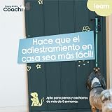 Ver la foto 2