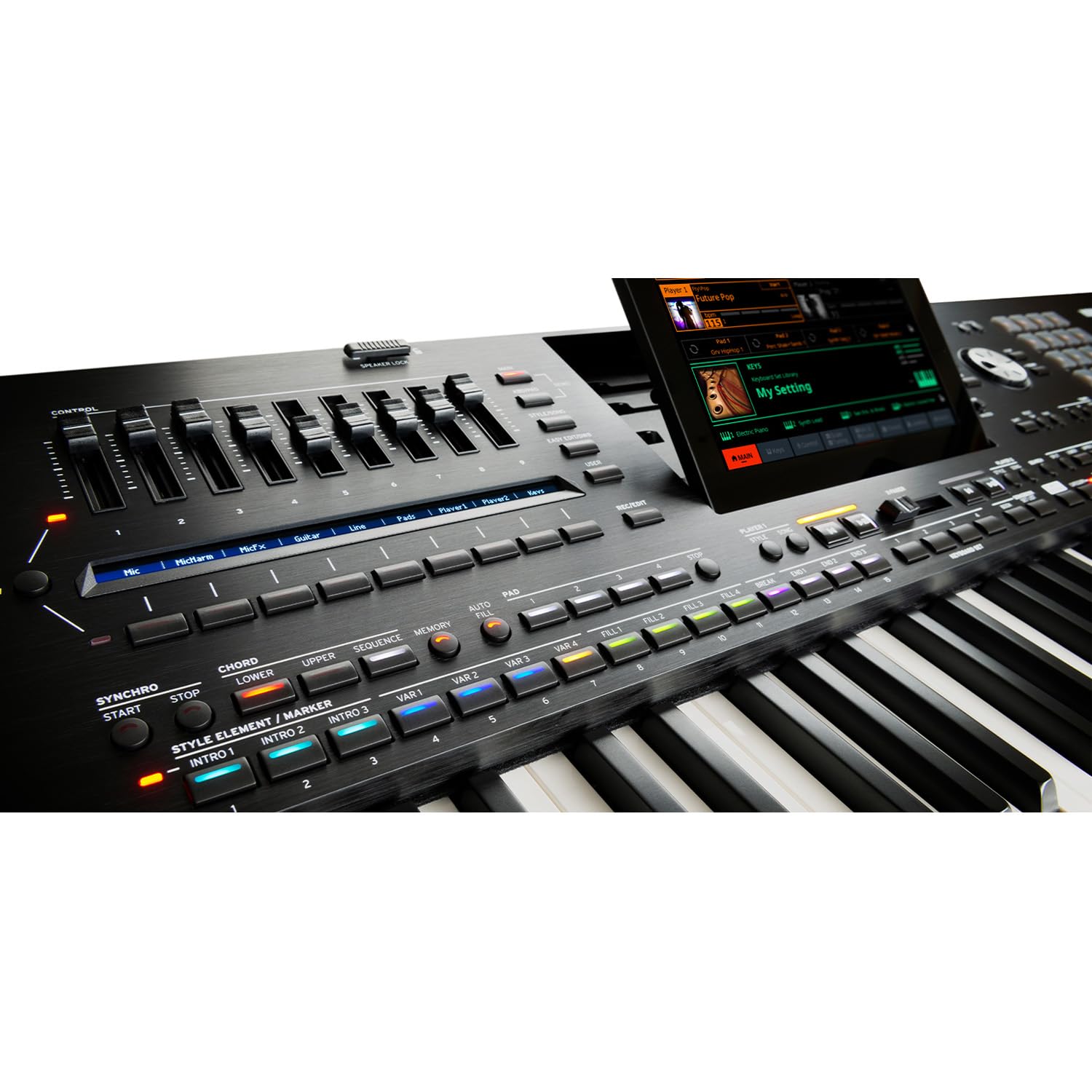 Amazon.com: Clutch Korg Pa5X-61 61-Key Workstation, Gator GK-61