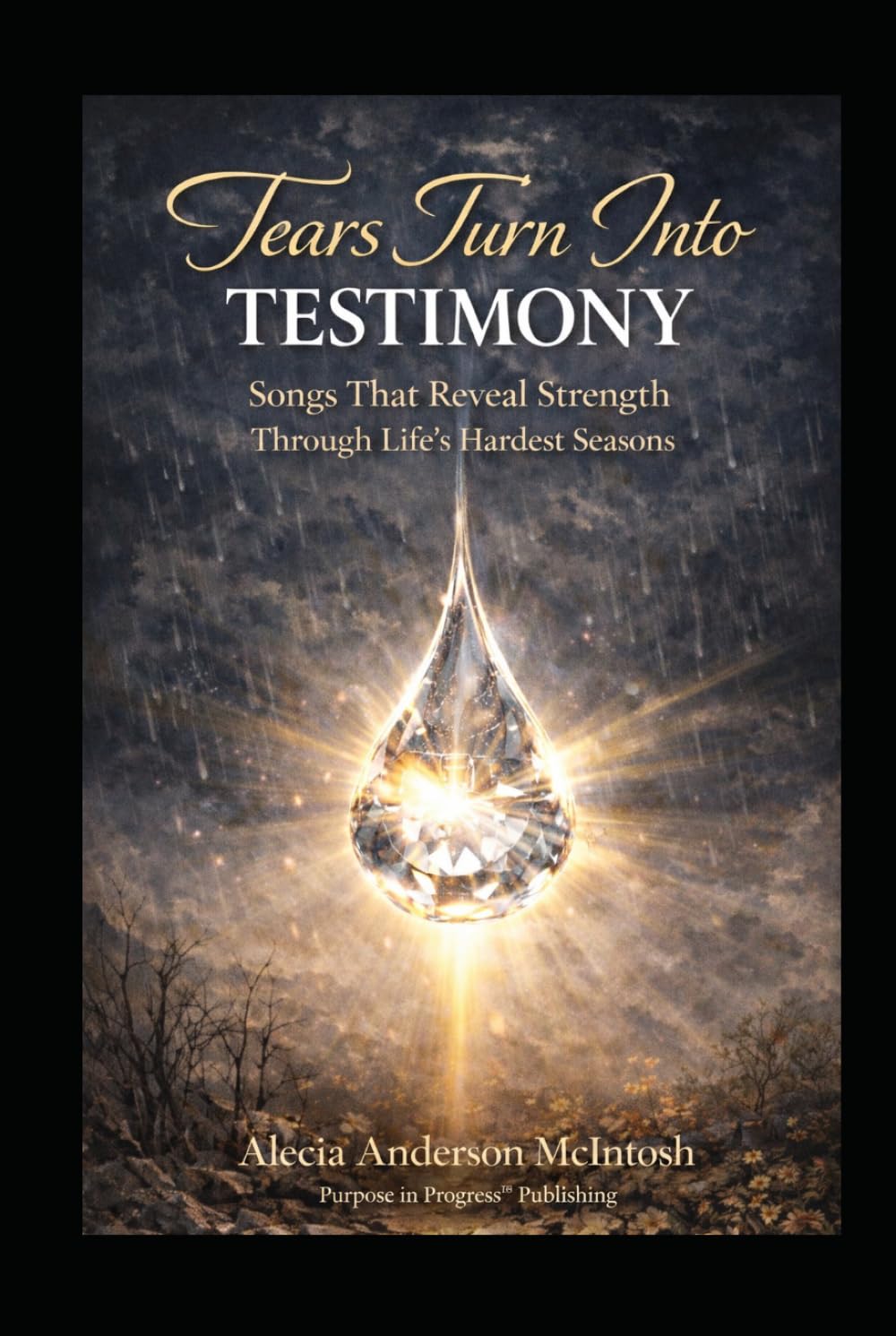 TEARS TURN INTO TESTIMONY: Songs That Reveals Strength Through Life's Hardest Seasons