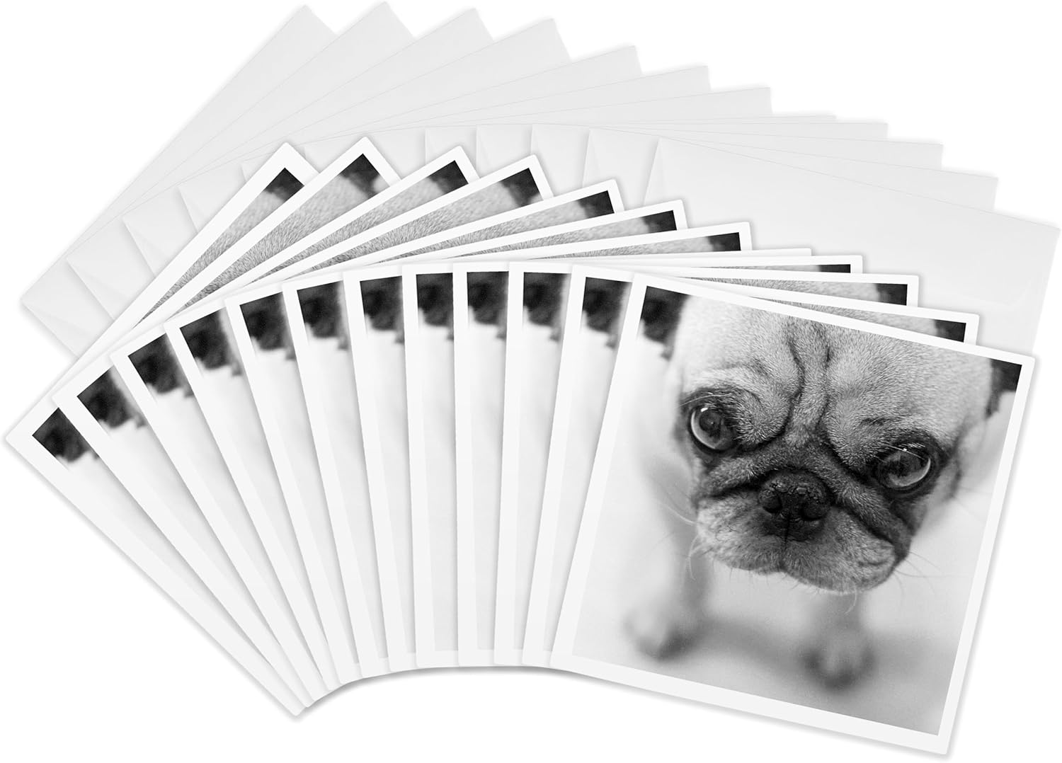 3dRose Pug - Greeting Cards, 6 x 6 inches, set of 12 (gc_11177_2)